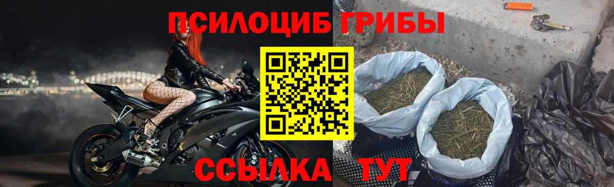 Галлюциногенные грибы ЛСД  Вход с VPN  Малгобек 